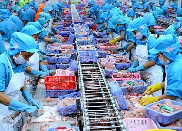 Ngành thủy sản lạc quan vào tín hiệu tốt từ một số thị trường