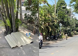 Phát hiện thi thể trẻ sơ sinh còn nguyên dây rốn trên vỉa hè