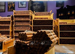 Cuba thắng kiện bản quyền thương hiệu xì gà Cohiba tại Mỹ sau 25 năm