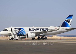 Ai Cập bác tin đồn bán hãng hàng không quốc gia EgyptAir