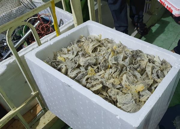 Truy bắt hai đối tượng trộm tổ yến những ngày Tết