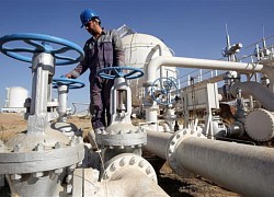 OPEC+ dự kiến giữ nguyên chính sách sản lượng dầu hiện tại