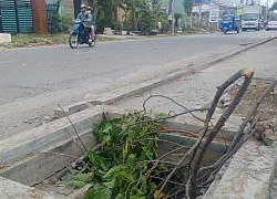 Tiền Giang: Hàng loạt hố cống trên vỉa hè không có nắp đậy