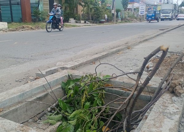 Tiền Giang: Hàng loạt hố cống trên vỉa hè không có nắp đậy