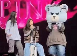 Câu chuyện thú vị về mascot gấu Krunk "náo loạn" concert của BLACKPINK