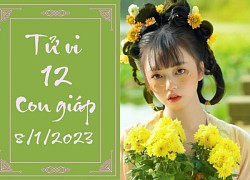 Tử vi vui 12 con giáp hôm nay Chủ Nhật ngày 8/1: Tý khó khăn, Thìn khởi sắc