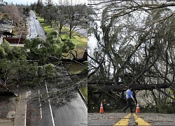 Lý do ông Biden tuyên bố tình trạng khẩn cấp ở California