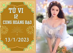 Tử vi vui 12 cung hoàng đạo ngày 13/1: Nhân Mã may mắn, Thiên Bình đào hoa