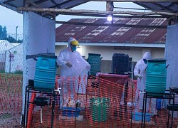 Uganda tuyên bố chấm dứt dịch Ebola