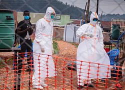 Uganda tuyên bố chấm dứt dịch Ebola sau gần 4 tháng hoành hành