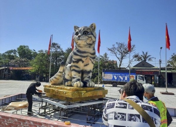 Ngắm "miss mèo" đang nổi trên mạng xã hội