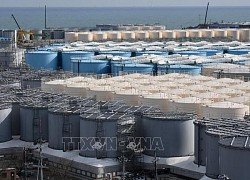 Nhật Bản thông báo thời gian xả nước phóng xạ từ nhà máy Fukushima xuống biển