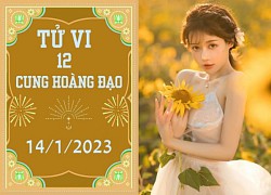 Tử vi vui 12 cung hoàng đạo ngày 14/1: Thiên Bình gặt hái, Song Ngư né rủi ro