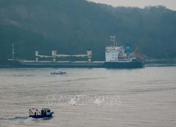 Tàu chở hàng từ Ukraine mắc cạn ở eo biển Bosphorus