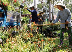 Chiều 28 Tết, người bán đào chặt bỏ chứ không bán rẻ