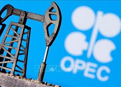 Quỹ Phát triển quốc tế OPEC huy động được 1 tỷ USD từ bán trái phiếu lần đầu