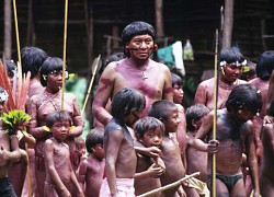 Brazil ban bố tình trạng khẩn cấp về y tế trên vùng lãnh thổ người da đỏ bản xứ Yanomami