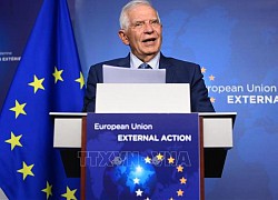 Các ngoại trưởng EU tập trung bàn về vấn đề Ukraine, Palestine