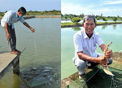 CLIP: Lão nông ở Cà Mau trở thành tỉ phú từ nhờ... cãi lời vợ