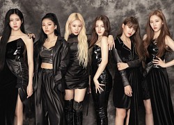 Toàn bộ thành viên MOMOLAND không tái ký hợp đồng với công ty quản lý sau 7 năm gắn bó