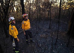 Australia: Bang New South Wales 'gồng mình' ứng phó 70 vụ cháy rừng xảy ra trong ngày