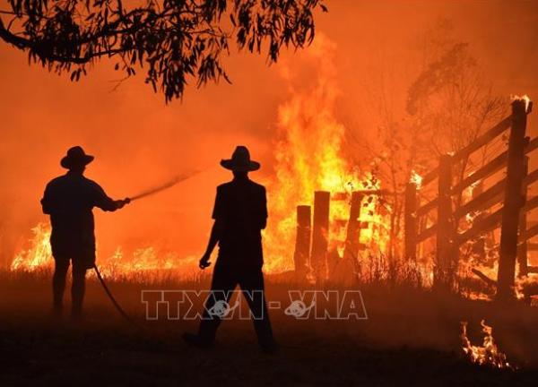 Bang Victoria của Australia ban bố hàng loạt cảnh báo cháy rừng