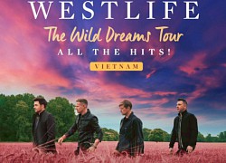 Cục An toàn Thông tin khuyến cáo người dân cẩn thận lừa đảo khi đặt mua vé xem concert Westlife trực tuyến