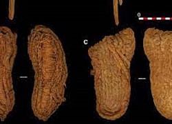Phát hiện đôi dép 6.000 năm tuổi