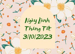 Xem ngày lành tháng tốt 3/10/2023: Đây là vô cùng tốt trong tháng 10!