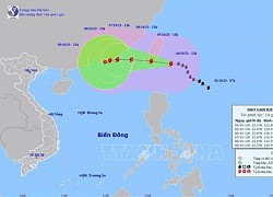 Bão KOINU ít có khả năng ảnh hưởng tới đất liền nước ta