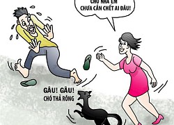 Chưa cắn chết ai!?