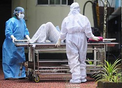 Chưa phát hiện ca nhiễm mới virus Nipah tại Ấn Độ