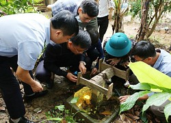 Xuất hiện ổ dịch sốt xuất huyết Dengue đầu tiên tại Hà Tĩnh