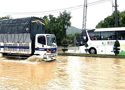 Đà Nẵng: Nhiều tuyến quốc lộ ngập sâu, phong tỏa đường lên Sơn Trà vì sạt lở