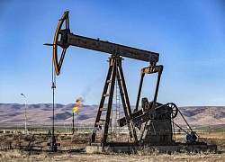 OPEC không thay đổi dự báo nhu cầu dầu mỏ năm 2024