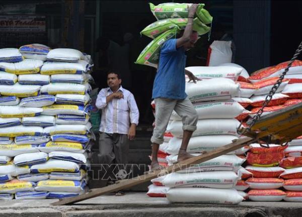 Ấn Độ duy trì mức giá sàn xuất khẩu đối với gạo basmati