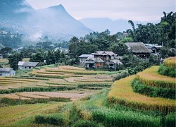 Khám phá một Sa Pa bình dị tại bản Lao Chải - Tả Van trong sắc thu vàng