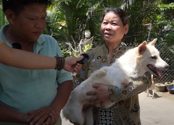 Mang cún lạ bị bỏ rơi bên đường về nuôi, cặp vợ chồng chạy xe ôm bỗng đổi đời sau 2 năm