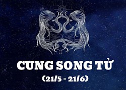 Màu sắc may mắn 12 cung hoàng đạo ngày 22/10/2023