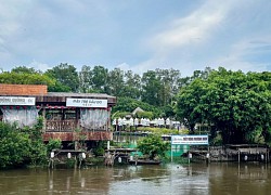 Ngắm rừng tràm Trà Sư, bối cảnh trong phim 'Đất rừng phương Nam'