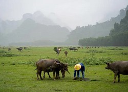 Ngắm vẻ đẹp bình dị của ngôi làng du lịch tốt nhất thế giới tại Quảng Bình