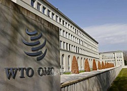 WTO thành lập nhóm định giá carbon toàn cầu