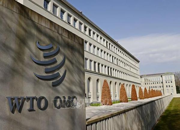 WTO thành lập nhóm định giá carbon toàn cầu