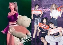 Lisa nhanh chóng vứt bỏ đồ của fan tặng, hé lộ tình trạng hợp đồng của BLACKPINK với YG