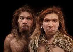 Người Neanderthal thông minh hơn đười ươi và khỉ, vậy tại sao họ lại tuyệt chủng cách đây 30.000 năm?