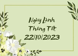 Xem ngày lành tháng tốt 22/10/2023: Tuy không quá thuận lợi nhưng vẫn có thể tiến hành các việc nhỏ