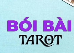 Bài tarot hôm nay 27/10/2023: Tình yêu khiến bạn trở nên lý trí hay khờ dại hơn?