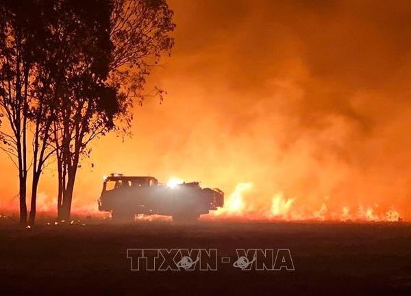 Cháy rừng hoành hành ở miền Đông Australia