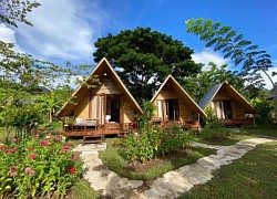 Mẫu nhà farmstay đẹp vừa tiện nghi vừa gần gũi với thiên nhiên