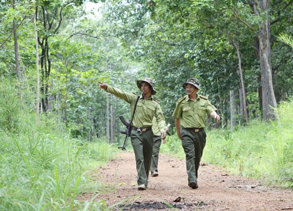 Một kiểm lâm trúng đạn khi đang tuần tra bảo vệ Vườn quốc gia Yok Đôn